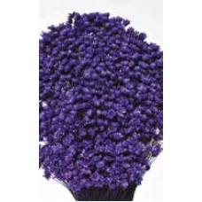 STAR FLOWERS Purple 12" (BULK)